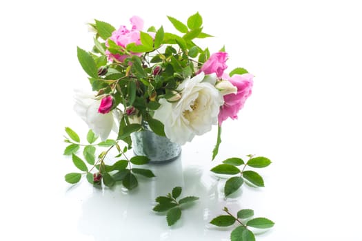 Small bouquet of beautiful summer pink and white roses, isolated on white background.