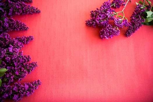 red background with branches of blooming beautiful lilac, empty space for text.