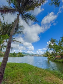 Beautiful lake and palm tree landscape in Phuket, Thailand