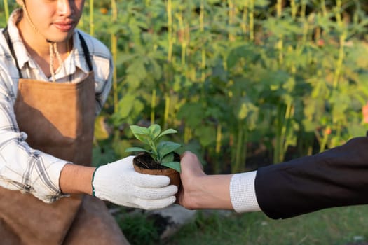 Eco-business company empower farmer with eco-friendly farming practice and clean agricultural technology. Cultivate sustainable future nurturing plants to grow and thrive. Gyre