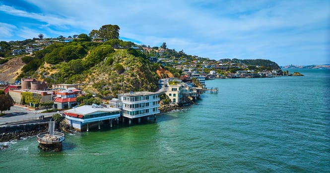 Image of Elephant Rock and The Caprice aerial of Tiburon coastline with houses on sunny summer day