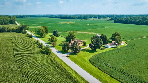 Image of Aerial rural area with lone house with barn surrounded by green fields and crops and single road