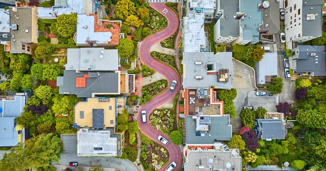 Image of Straight down aerial Lombard Street with road running vertically