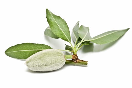 Green raw almonds isolated over a white background.