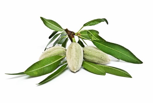 Green raw almonds isolated over a white background.