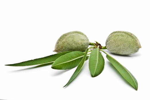 Green raw almonds isolated over a white background.