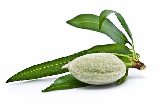 Green raw almonds isolated over a white background.