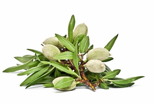Green raw almonds isolated over a white background.