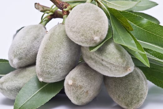 Green raw almonds isolated over a white background.