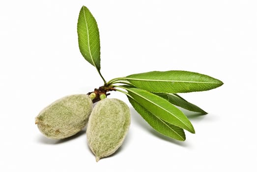 Green raw almonds isolated over a white background.
