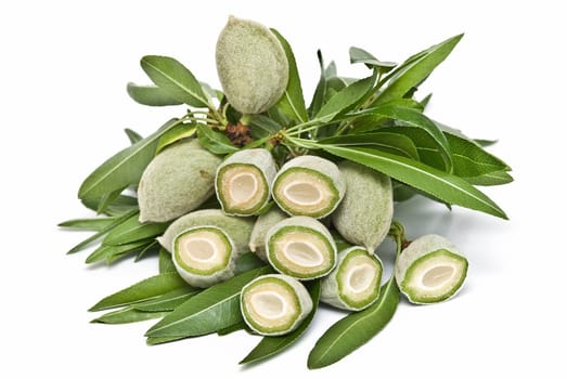 Green raw almonds isolated over a white background.