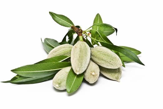 Green raw almonds isolated over a white background.