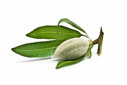 Green raw almonds isolated over a white background.