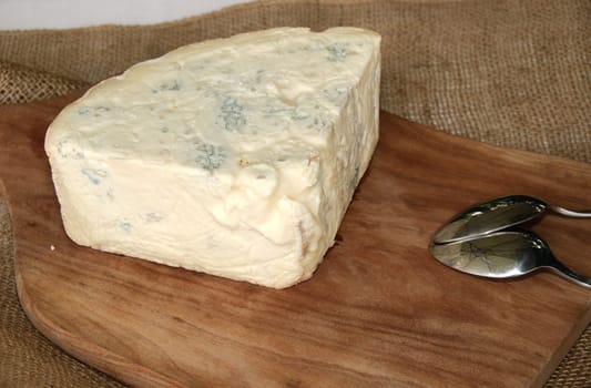 piece of gorgonzola cheese with spoon