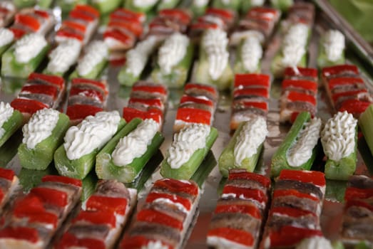 appetizer stuffed with vegetables and zucchini
