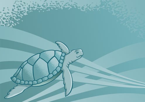 Sea turtle background for page layout or presentations