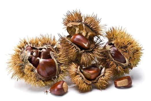 Some fresh chestnuts isolated over a white background.