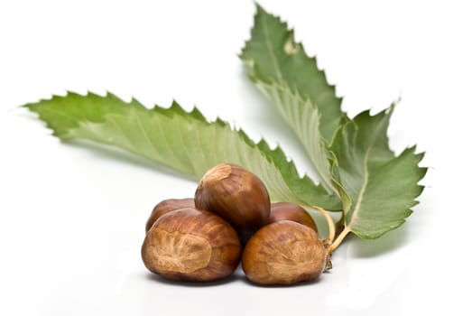 Some fresh chestnuts isolated over a white background.