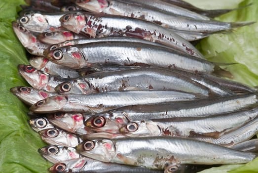 Pile of fresh anchovies from the North sea.