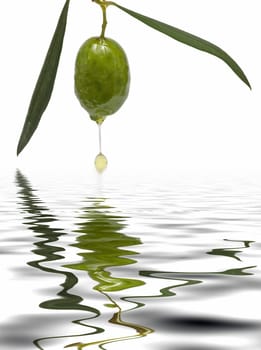 Olive oil dripping from one green olive over a white background.