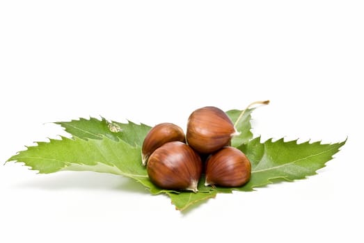 Some fresh chestnuts isolated over a white background.