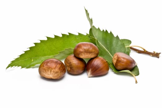 Some fresh chestnuts isolated over a white background.