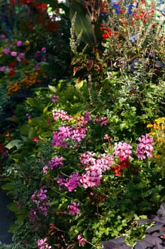 Avenue with flowers,Montreux,Lake Geneva