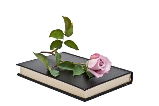 Pink rose on an old book over a white background.