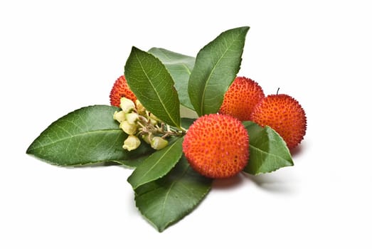 Fresh arbutus fruits isolated over a white background.