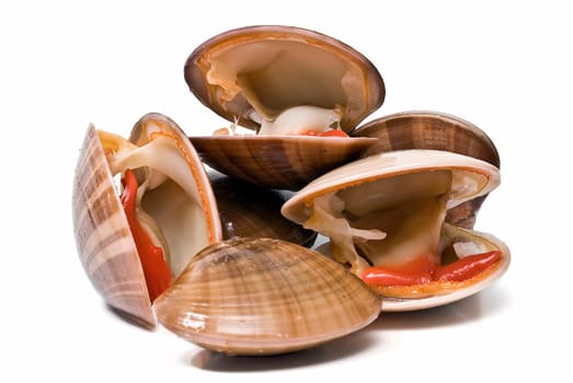 Fresh smooth clams isolated over a white background.