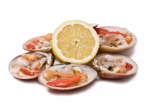 Fresh smooth clams isolated over a white background.