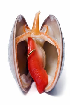 Smooth clam with an earring isolated over a white background.