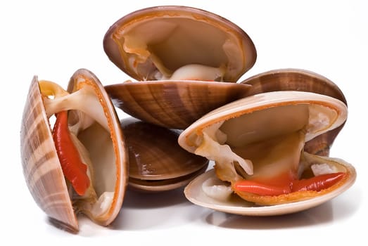 Fresh smooth clams isolated over a white background.