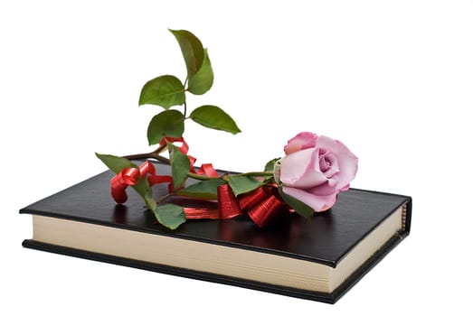 Pink rose on an old book over a white background.