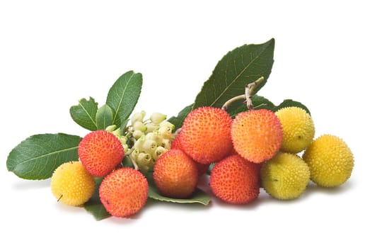 Fresh arbutus fruits isolated over a white background.