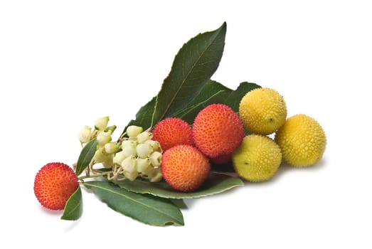 Fresh arbutus fruits isolated over a white background.
