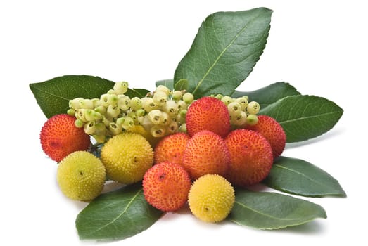Fresh arbutus fruits isolated over a white background.