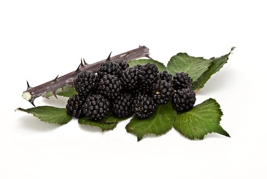 Blackberries isolated over a white background.
