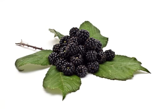 Blackberries isolated over a white background.
