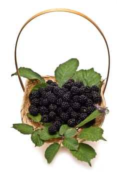 A basket with blackberries isolated over a white background.