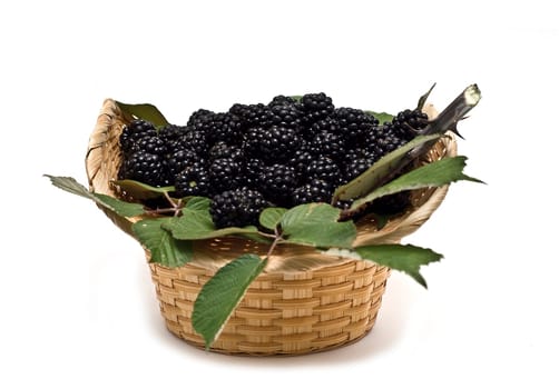A basket with blackberries isolated over a white background.