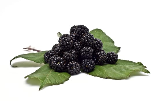 Blackberries isolated over a white background.