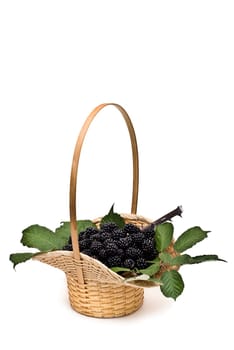 A basket with blackberries isolated over a white background.