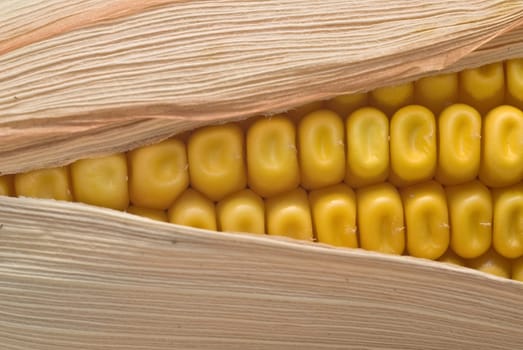 Still life about agriculture with dried corncobs.