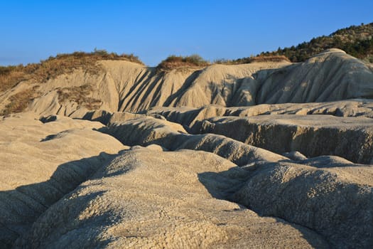 a beautiful autumn landscape with dry land