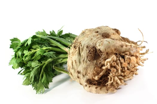 a celery bulb against a white background