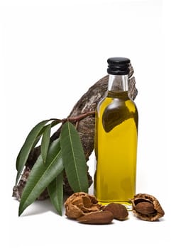 Almonds and a bottle of almond oil isolated over a white background.
