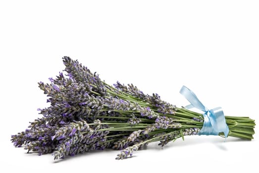 A bouquet of lavender isolated on a white background.