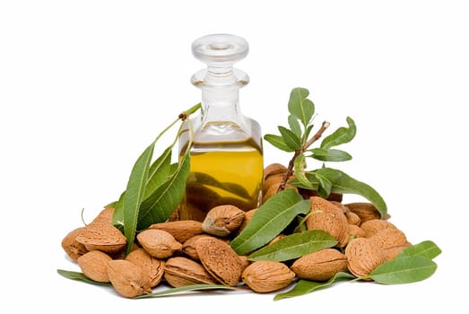 Almonds and a bottle of almond oil isolated over a white background.