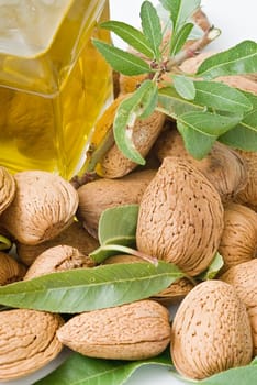 Almonds and a bottle of almond oil isolated over a white background.